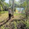 Om Bhabin Milenial Polsek Tembilahan BRIGPOL SALMAN ALFARISI, S.H., M.H. Rutin Cek Tanaman Jagung Warga