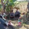 Cerita dari Pematang Sawah : Babinsa Hadir, Petani Padi Semakin Optimis