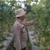 Bhabinkamtibmas Polsek Kelayang Sambangi Warga, Dorong Kemandirian Petani Dukung Ketahanan Pangan Nasional