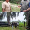 Dugaan Main Hakim Sendiri di Lahan Eks PT SAL, Korban Mengaku Dianiaya Sebelum Masuk Proses Hukum.