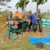 Babinsa Menyatu dengan Petani, Panen Padi Jadi Bukti Kepedulian